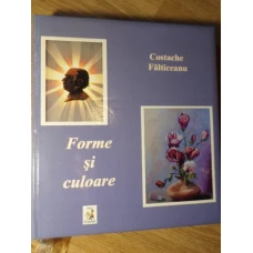 FORME SI CULOARE. ALBUM DE ARTA