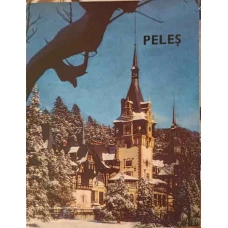 MUZEUL PELES, ALBUM