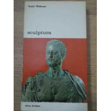 SCULPTURA. PROCEDEE SI PRINCIPII