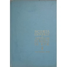 SCURTA ISTORIE A ARTELOR PLASTICE IN R.P.R. VOL.2 SECOLUL XIX