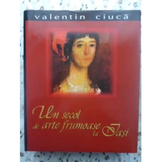 UN SECOL DE ARTE FRUMOASE LA IASI. EDITIE BILINGVA ROMANA-ENGLEZA, (STARE IMPECABILA. IN CASETA)