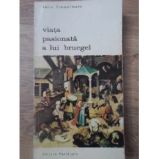 VIATA PASIONATA A LUI BRUEGEL