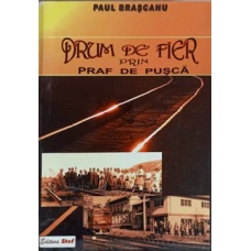 DRUM DE FIER PRIN PRAF DE PUSCA