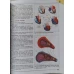 BIOLOGIE MANUAL PENTRU CLASA A XI-A B1