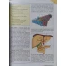 BIOLOGIE MANUAL PENTRU CLASA A XI-A B1