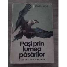 PASI PRIN LUMEA PASARILOR