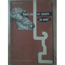 RUDELE CELE MAI APROPIATE ALE OMULUI