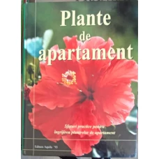 PLANTE DE APARTAMENT. SFATURI PRACTICE PENTRU INGRIJIREA PLANTELOR DE APARTAMENT