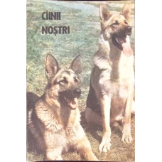 CAINII NOSTRI - AUGUST 1985