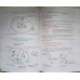 ANATOMIA SI FIZIOLOGIA OMULUI. MODELE DIDACTICE PENTRU GIMNAZIU SI LICEU
