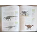 ENCICLOPEDIA ILUSTRATA A DINOZAURILOR