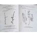 MARI BOTANISTI ROMANI. STUDII BOTANICE VOL.1-3