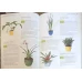 PLANTE DE APARTAMENT. SFATURI PRACTICE PENTRU INGRIJIREA PLANTELOR DE APARTAMENT