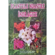 PLANTELE NOASTRE INDRAGITE