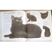 THE ULTIMATE CAT BOOK
