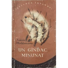UN GANDAC MINUNAT