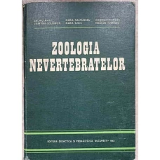ZOOLOGIA NEVERTEBRATELOR