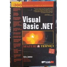 VISUAL BASIC .NET. SFATURI SI TEHNICI