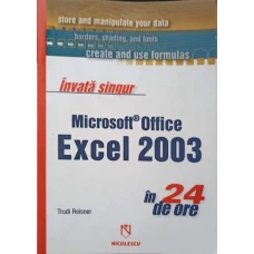 INVATA SINGUR MICROSOFT OFFICE EXCEL 2003 IN 24 DE ORE