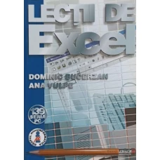 LECTII DE EXCEL