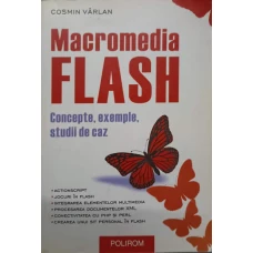 MACROMEDIA FLASH. CONCEPTE, EXEMPLE, STUDII DE CAZ