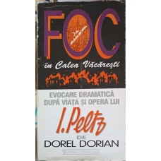 FOC IN CALEA VACARESTI. EVOCARE DRAMATICA DUPA VIATA SI OPERA LUI I. PELTZ