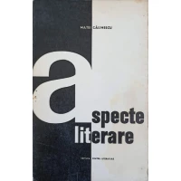 ASPECTE LITERARE