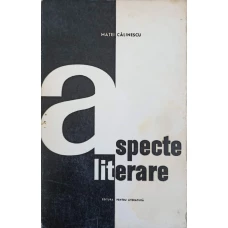 ASPECTE LITERARE
