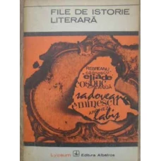 FILE DE ISTORIE LITERARA. EVOCARI