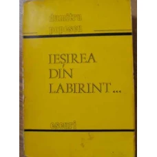 IESIREA DIN LABIRINT... ESEURI