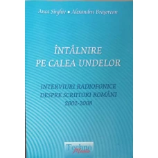 INTALNIRE PE CALEA UNDELOR. INTERVIURI RADIOFONICE DESPRE SCRIITORI ROMANI 2002-2008