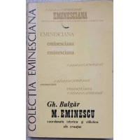 M. EMINESCU. COORDONATE ISTORICE SI STILISTICE ALE CREATIEI M. EMINESCU. COORDONATE ISTORICE SI STILISTICE ALE CREATIEI