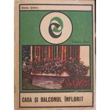 CASA SI BALCONUL INFLORIT