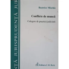 CONFLICTE DE MUNCA