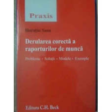 DERULAREA CORECTA A RAPORTURILOR DE MUNCA