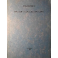 BAZELE MANAGEMENTULUI