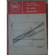 CE ESTE EFICIENTA?