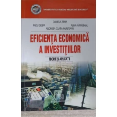 EFICIENTA ECONOMICA A INVESTITIILOR. TEORIE SI APLICATII