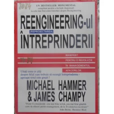 REENGINEERING-UL INTREPRINDERII