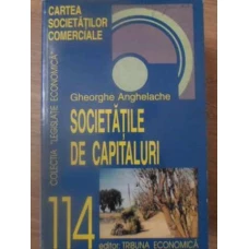 SOCIETATILE DE CAPITALURI