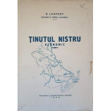 TINUTUL NISTRU. ECONOMIC