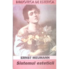 SISTEMUL ESTETICII
