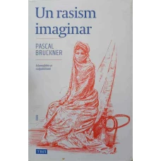 UN RASISM IMAGINAR. ISLAMOFOBIE SI CULPABILITATE