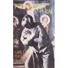 INTOARCEREA DIN RAI