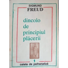 DINCOLO DE PRINCIPIUL PLACERII