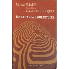 INCERCAREA LABIRINTULUI