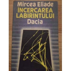 INCERCAREA LABIRINTULUI