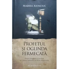 PROFETUL SI OGLINDA FERMECATA