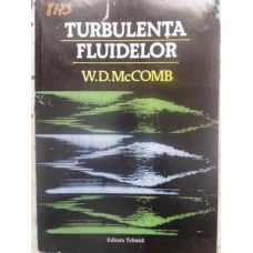 TURBULENTA FLUIDELOR. MODELARE FIZICO-MATEMATICA
