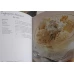 INGHETATE & SORBETURI. CREMOASE, AROMATE, DORITE CU PASIUNE